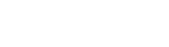 baron-von-bingen-logo-head-white